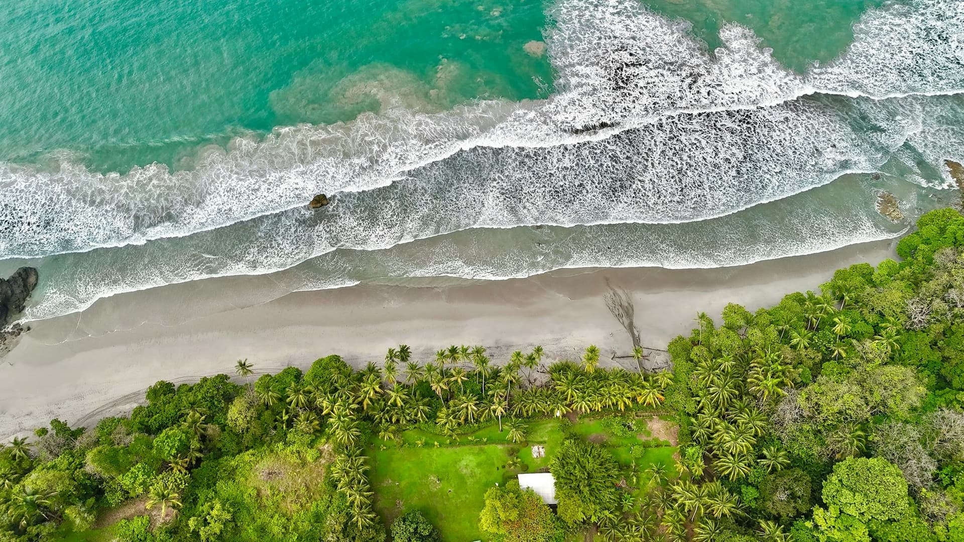 Luftaufnahme eines tropischen Strandes mit Ozean und Grünflächen, Sinnbild für die Natur im Umfeld des Schulsystems Costa Rica.